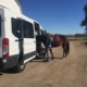 Horse and person standing next to a van