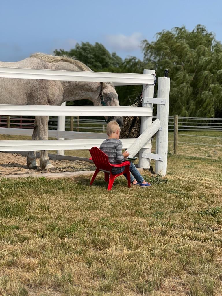 Small child reading to one of our therapy horses Will.