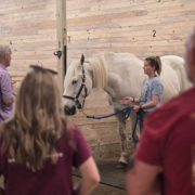 Veterans group gathers around Will to learn more about equine assisted veterans services.