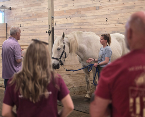 Veterans group gathers around Will to learn more about equine assisted veterans services.