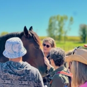 Community members surround a horse to pray during Renew's Blessing of the Horses event.