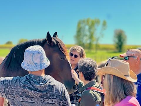 Community members surround a horse to pray during Renew's Blessing of the Horses event.
